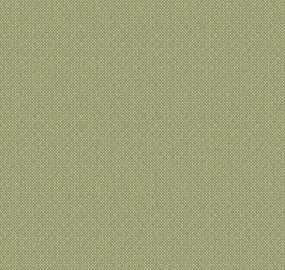 Обои Loymina Timeless TS7 005